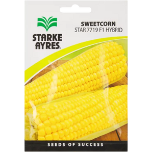 Starke Ayres Assegai Hybrid Sweetcorn Vegetable Seeds