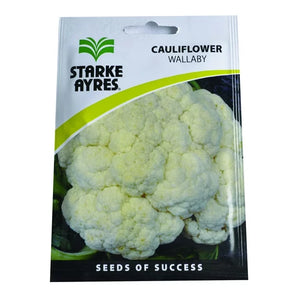 Starke Ayres Cauliflower Seed