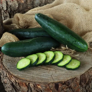 LIVINGSEEDS Ashley Cucumber