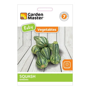 Garden Master Baby Barbara Squash Vegetable Seed