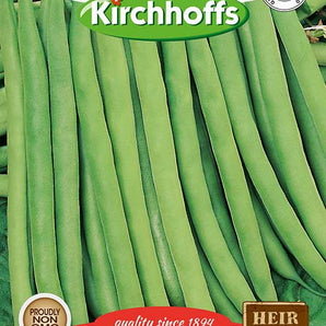 Kirchhoffs Beans Bush Contender Seed