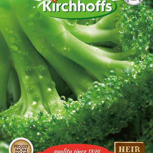 Kirchhoffs Broccoli Green Sprouting Calab Seed