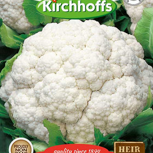 Kirchhoffs Cauliflower Snowball Seed