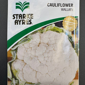 Starke Ayres Cauliflower Wallaby Seed