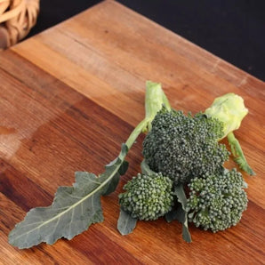 LIVINGSEEDS De Cicco Broccoli