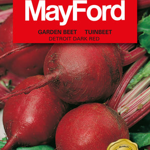 Mayford Beetroot Detroit Dark Red Seed