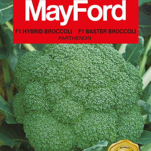 Mayford Hybrid Broccoli Seed