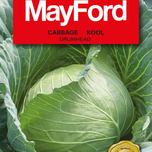 Mayford Cabbage Drumhead Seed