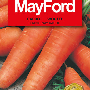 Mayford Chantenay Karoo Carrot Seed