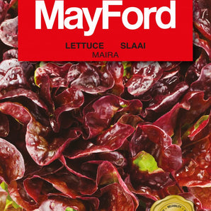 Mayford Lettuce Maira Seed