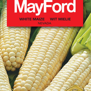 Mayford White Maize Nevada Seed