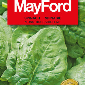 Mayford Spinach Viroflay Seed