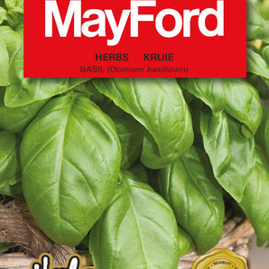 Mayford Basil Herb Seed