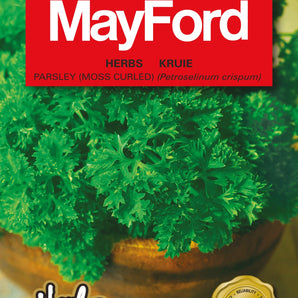 Mayford Parsley Herb Seed