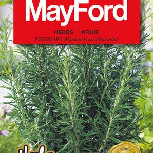 Mayford Rosemary Herb Seed