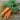 LIVINGSEEDS Nantes Carrot