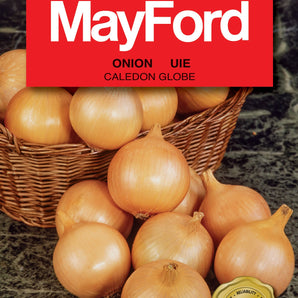 Mayford Caledon Globe Onion Seed