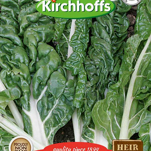 Kirchhoffs Spinach Beet Fordhook Giant Seed