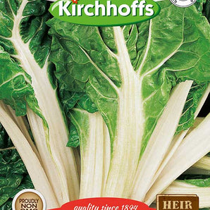 Kirchhoffs Spinach Beet Lucullus Seed