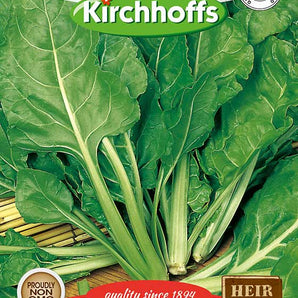 Kirchhoffs Spinach Lazio (Baby) Seed