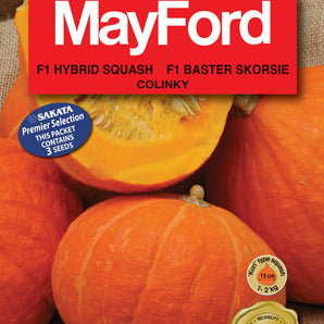 Mayford Hybrid Squash Seed