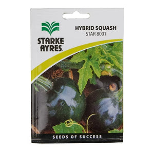 Starke Ayres Hybrid Pumpkin Seed