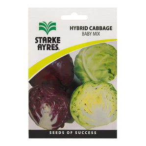 Starke Ayres Cabbage Seed